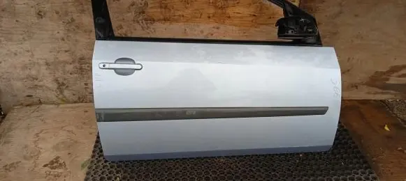 Ford Fiesta Front door