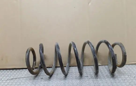 Rear coil spring