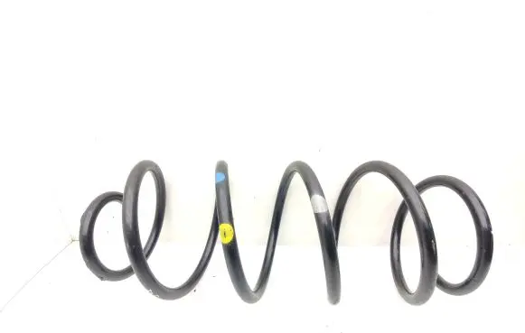 Front coil spring