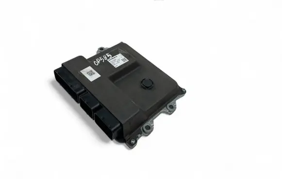 Engine control unit/module ECU