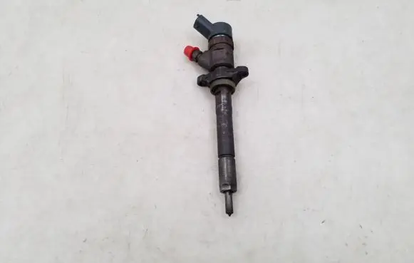 Peugeot Partner Fuel injector 0445110239