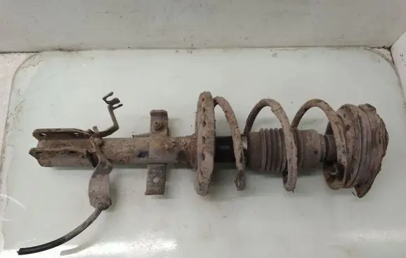 Renault Modus Front shock absorber with coil spring 