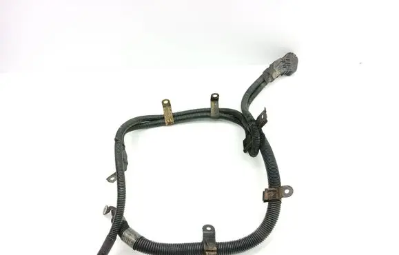 Mercedes-Benz S W220 Wires (generator/alternator) 2205401130