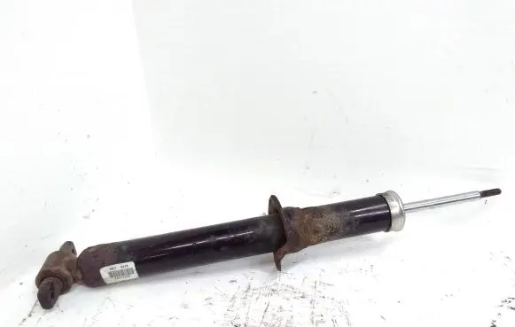 Cadillac CTS Front shock absorber/damper 25812545