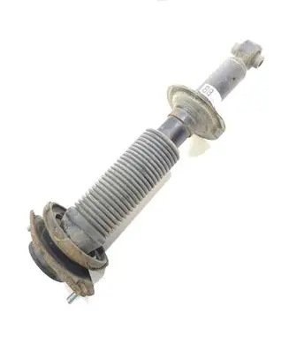 Subaru Legacy Rear shock absorber/damper 20365AJ010