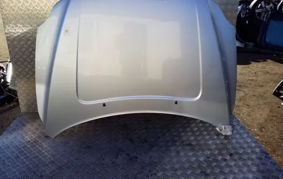 Engine bonnet/hood