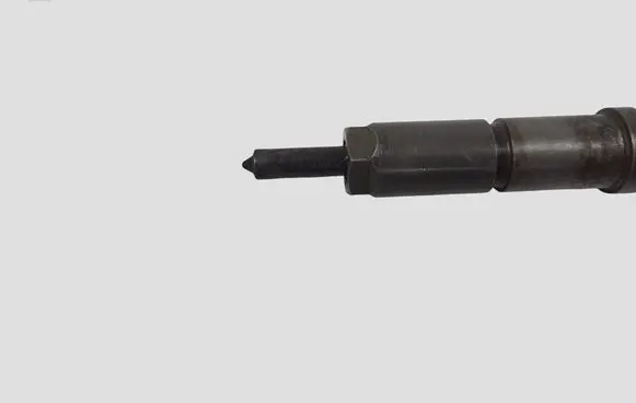 Peugeot 307 Fuel injector 0445110076