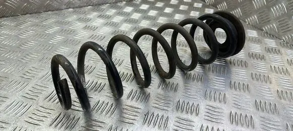 Rear coil spring