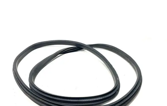 Renault Megane III Rubber seal rear door 