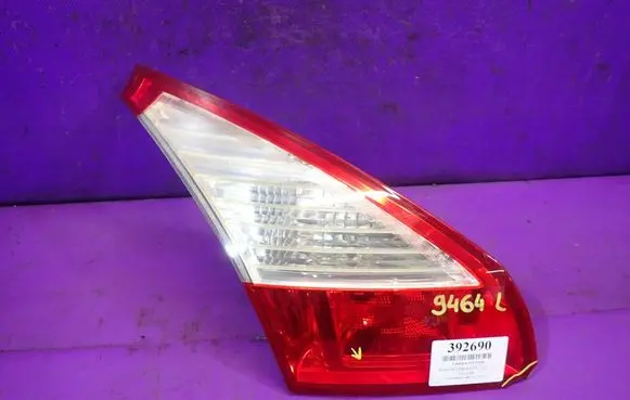 Renault Megane III Rear/tail lights 89319611