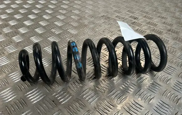 Rear coil spring