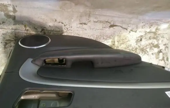Chevrolet Epica Rear door card panel trim