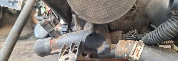Renault Kangoo I Engine coolant pipe/hose
