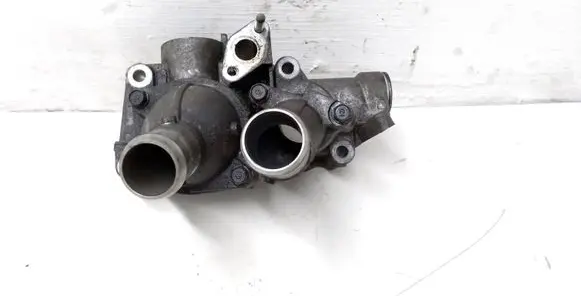 Thermostat/thermostat housing