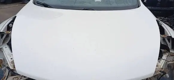 Nissan Juke I F15 Engine bonnet/hood 