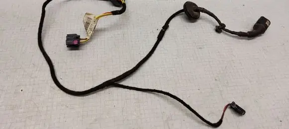 Volkswagen PASSAT B5.5 Rear door wiring loom 3B0971161K 103147101