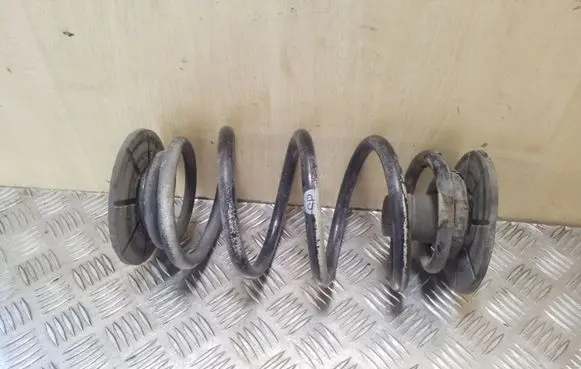 Rear coil spring