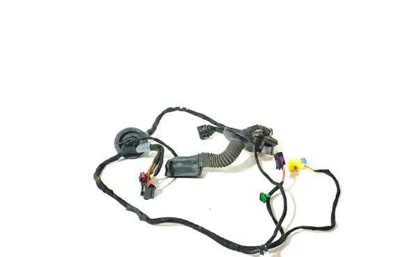 Front door wiring loom