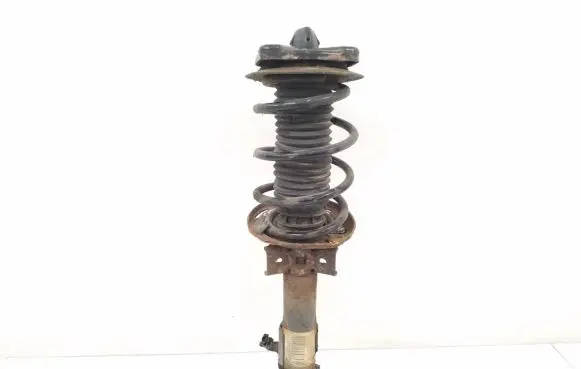 Mercedes-Benz E C207 W207 Front shock absorber/damper A2073204138