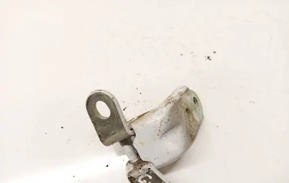 Hyundai Kona I Rear door lower hinge 