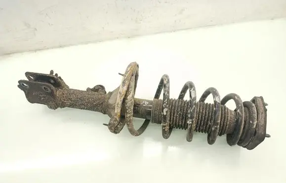 Hyundai Tucson JM Rear shock absorber with coil spring 