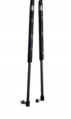 Citroen C4 I Picasso Tailgate strut 1082849