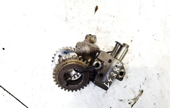 Hyundai Sonata Slide rail for timing chain 