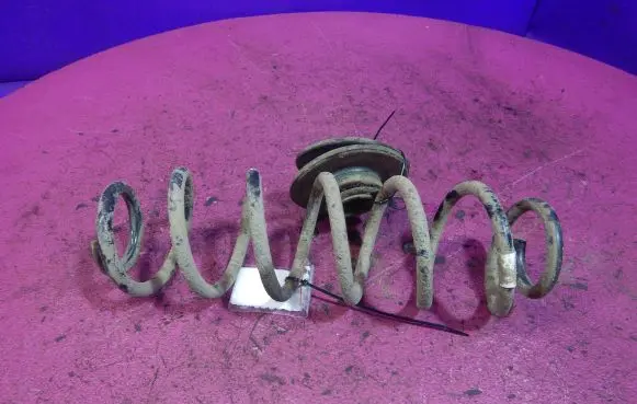 Skoda Octavia Mk3 (5E) Rear coil spring