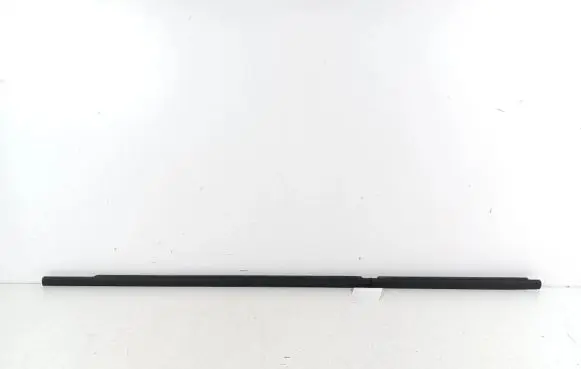 BMW 2 F46 Front door glass trim molding