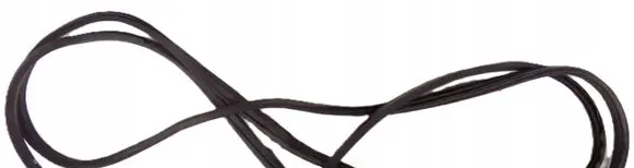 Fiat 500L Front door rubber seal 