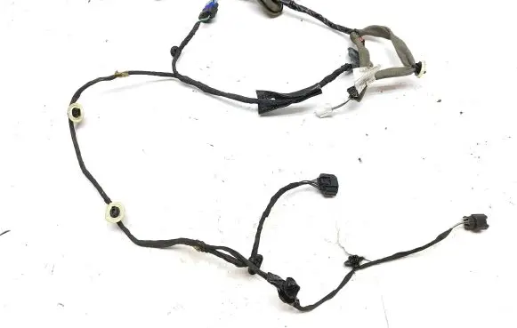 Renault Scenic IV - Grand scenic IV Rear door wiring loom 241277438R 163034