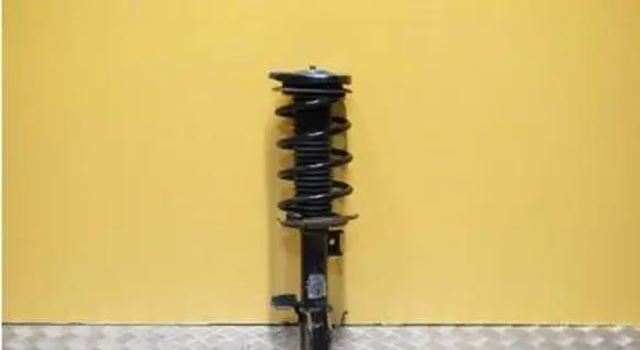 Ford Bronco Front shock absorber with coil spring N1PC-18K001