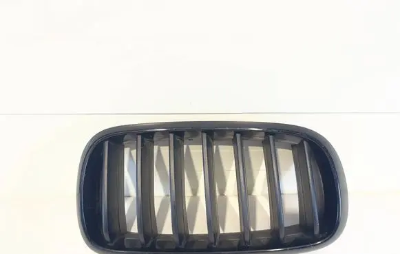 BMW X5 F15 Front bumper upper radiator grill 7316076