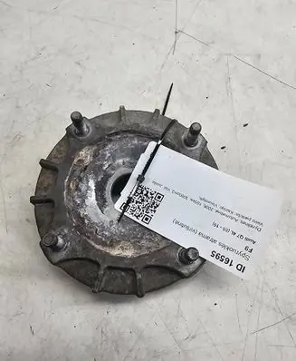 Coil spring mount