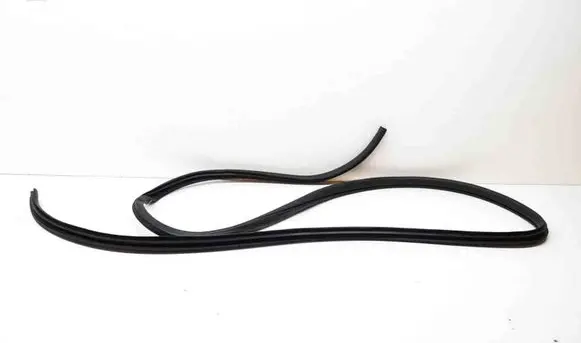 Honda Odyssey Rubber seal front door (on door) 