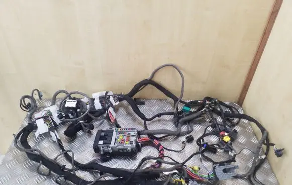 Opel Zafira C Other wiring loom 13420665
