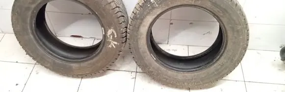 Ford Mondeo MK IV R15 winter tire 19565R1591T WINTERTASC NORDFROSTI