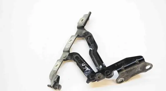 Tailgate/trunk/boot hinge