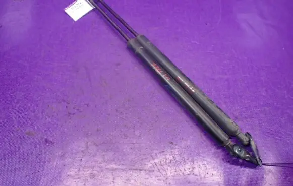 Tailgate strut