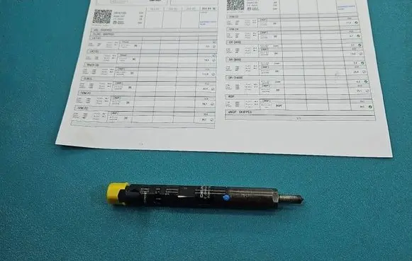 Renault Kangoo II Fuel injector EJBR05601D IMPRK1593347