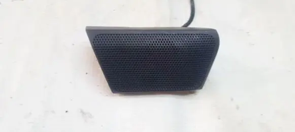 Front door speaker