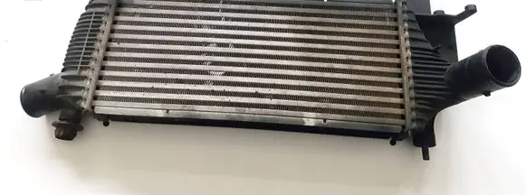 Nissan Pathfinder R51 Intercooler radiator 14461EB360