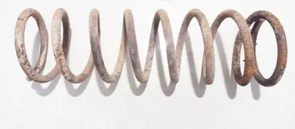 Rear coil spring