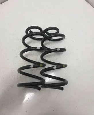Renault Arkana Rear coil spring 