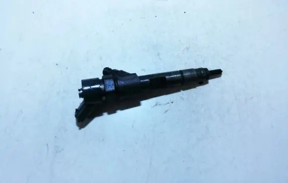 Renault Megane II Fuel injector 8200100272 0445110110b