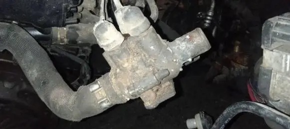 Citroen Berlingo Engine coolant pipe/hose