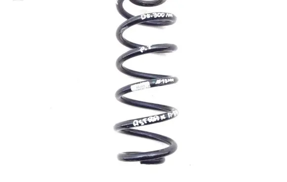 Mitsubishi Pajero Rear coil spring