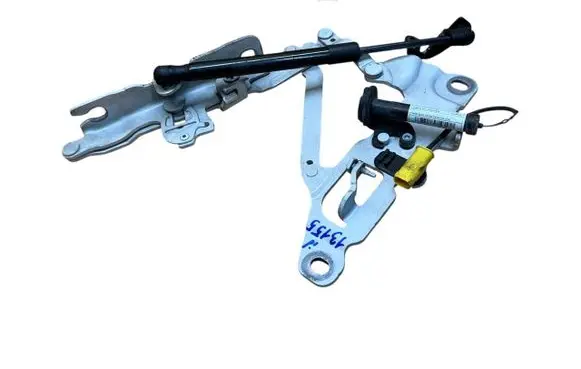 BMW 5 F10 F11 Engine bonnet/hood hinges 7249888 7263056