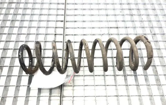 Rear coil spring