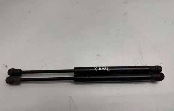 Tesla Model X Front bonnet/hood damper/strut 103387900B